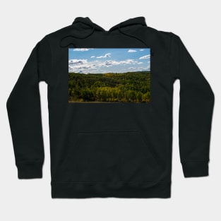 Fall in the foothills Hoodie